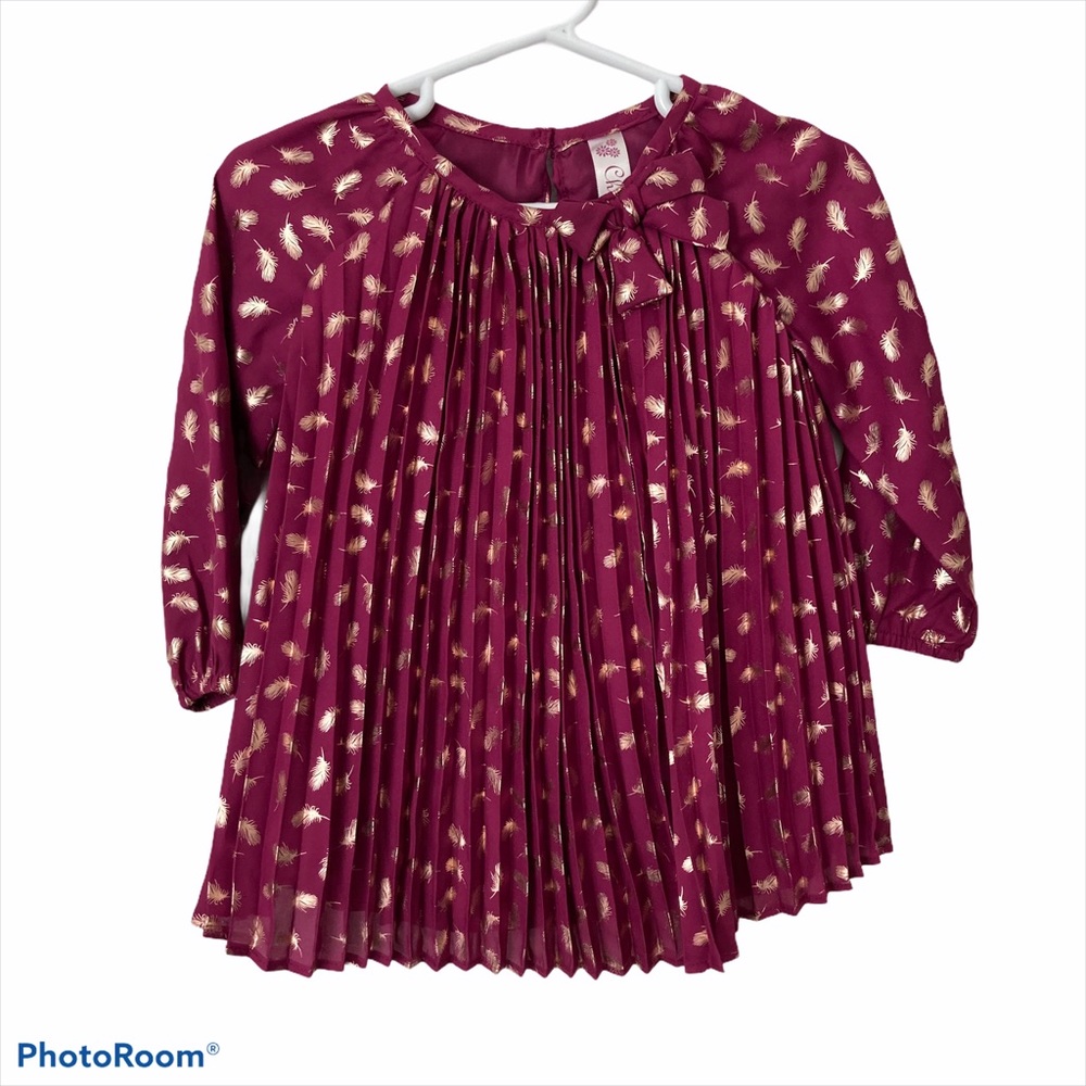 Cherokee Pleated Holiday Dress 12M